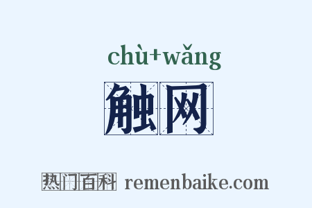 触网是什么意思的图片